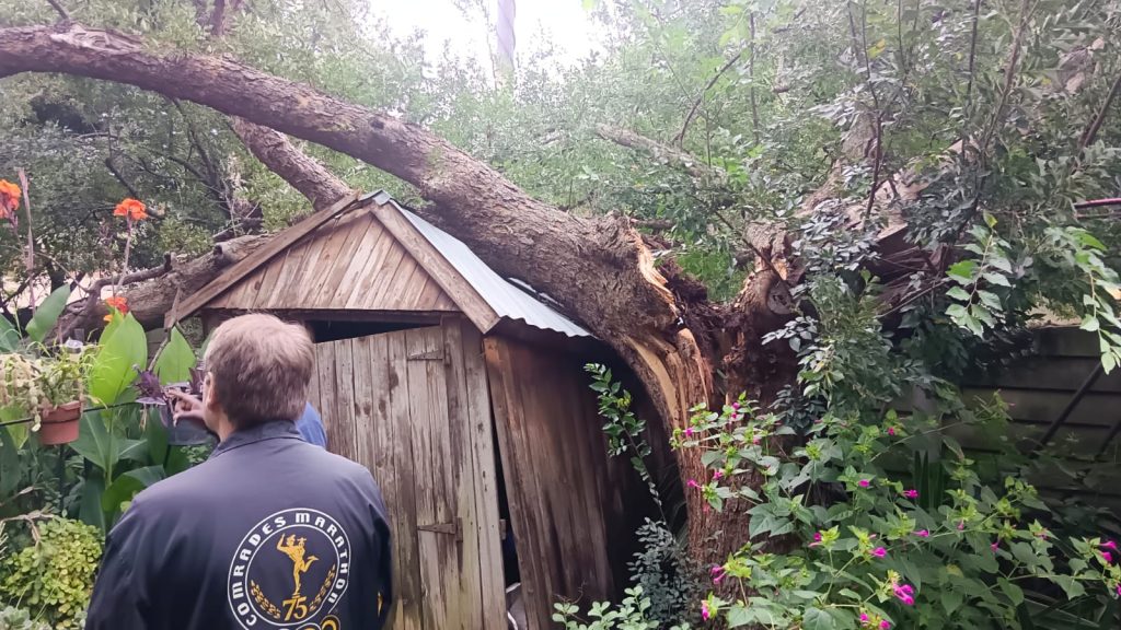 Emergency Tree Removal Van Riebeck