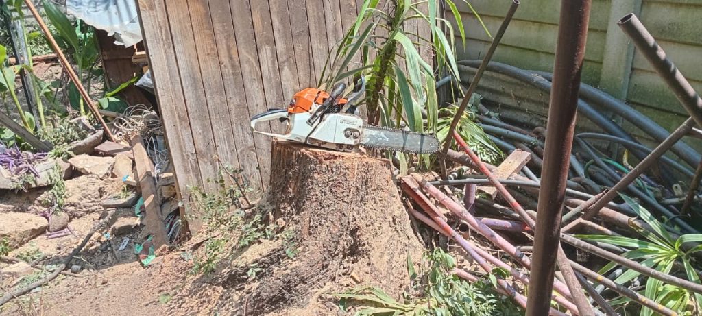 Emergency Tree Removal Van Riebeck