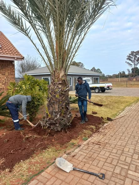 Tree Planting & Transplanting